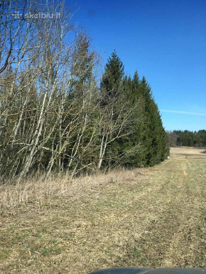 Investiciniai sklypai,paširvintis, Širvintų raj. - nuotraukos Nr. 18