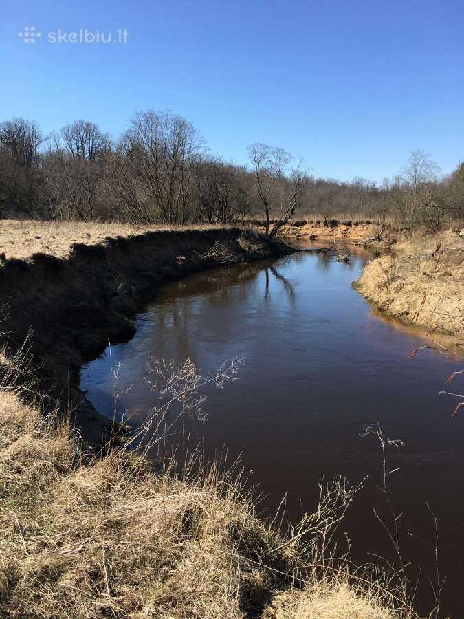 Investiciniai sklypai,paširvintis, Širvintų raj. - nuotraukos Nr. 21