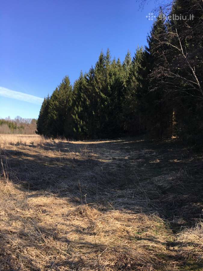 Investiciniai sklypai,paširvintis, Širvintų raj. - nuotraukos Nr. 22