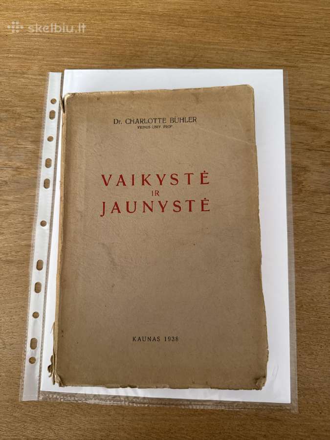 Vaikystė ir jaunystė. Sąmonės genezė 1938 m.