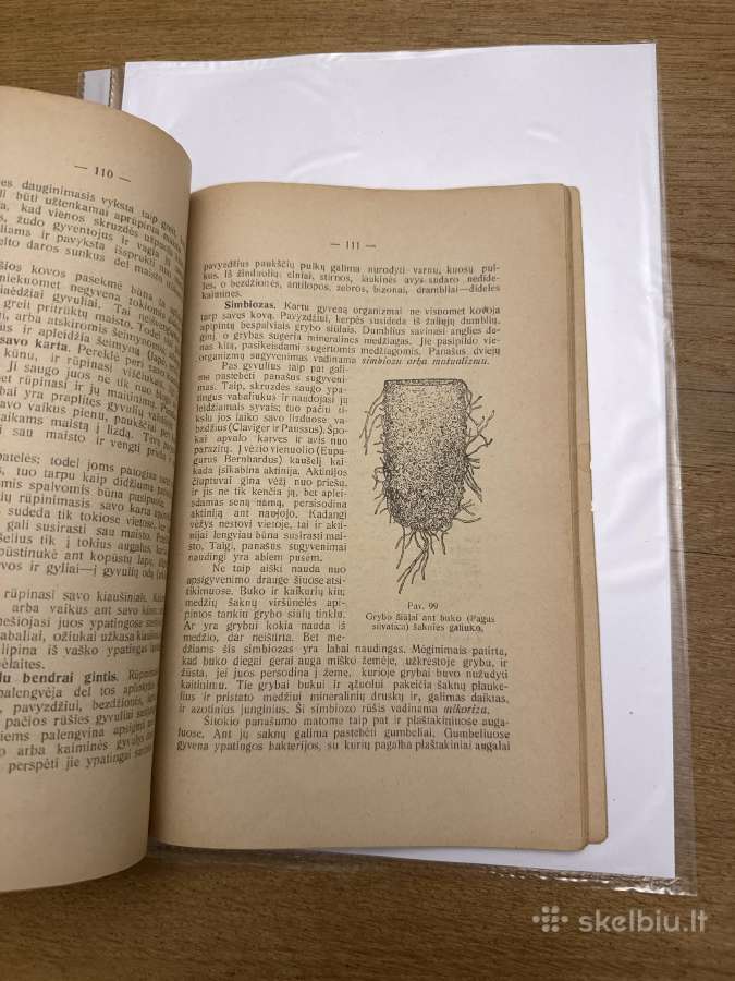 Biologijos vadovėlis,1924 m - nuotraukos Nr. 7
