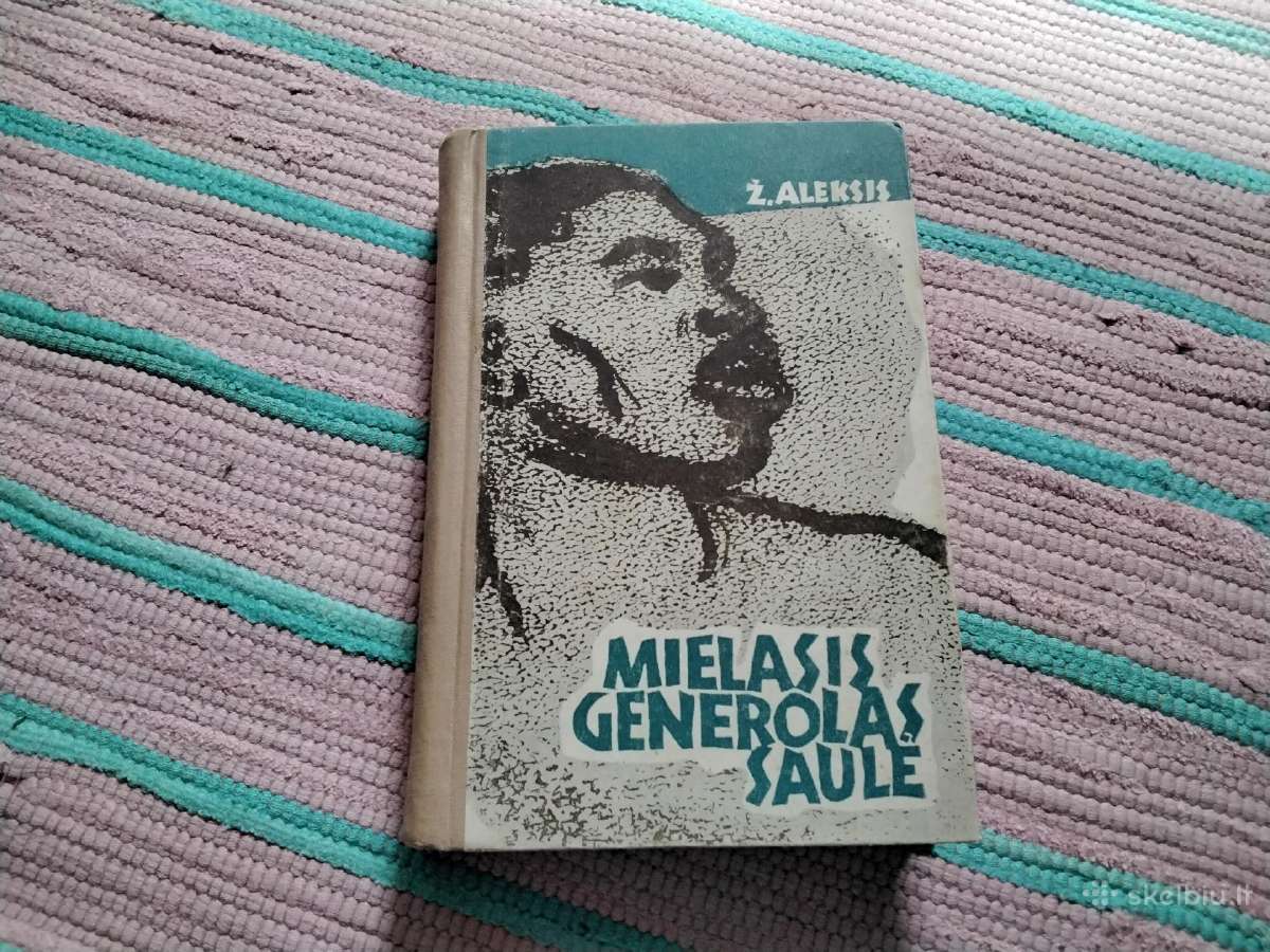 Mielasis generolas Saulė Žakas-stefanas Aleksis