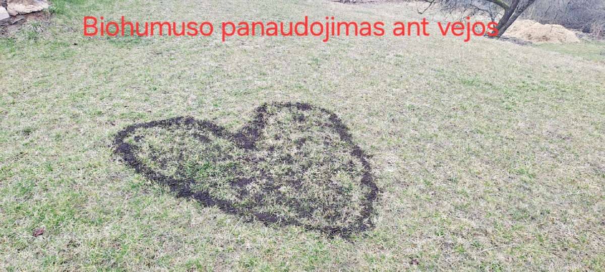 Akcija perkant 100l ir daugiau -10% nuolaida - nuotraukos Nr. 2