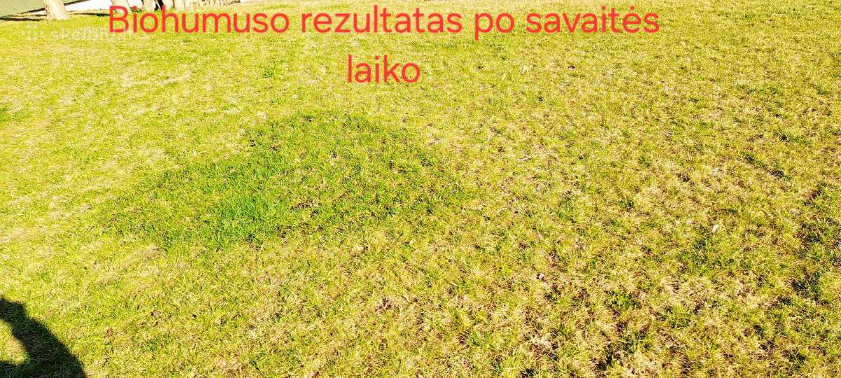 Akcija perkant 100l ir daugiau -10% nuolaida