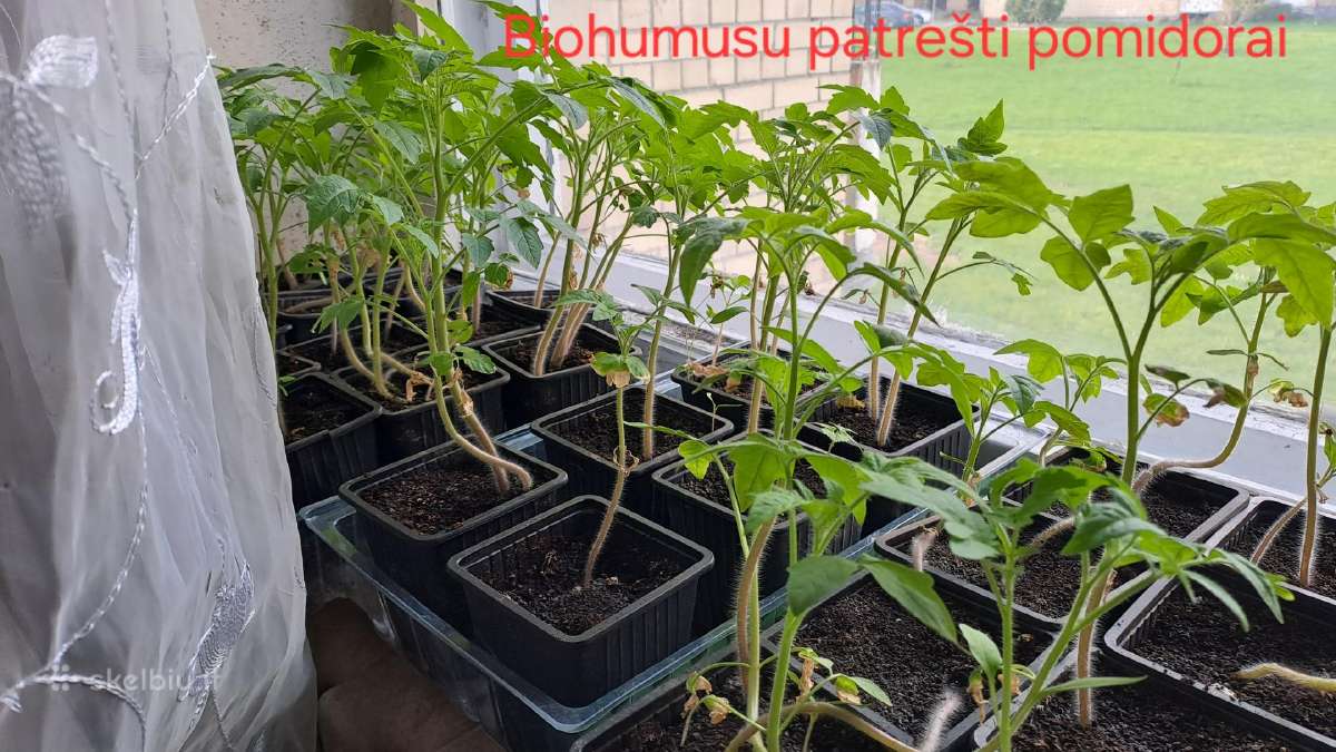 Akcija perkant 100l ir daugiau -10% nuolaida - nuotraukos Nr. 6