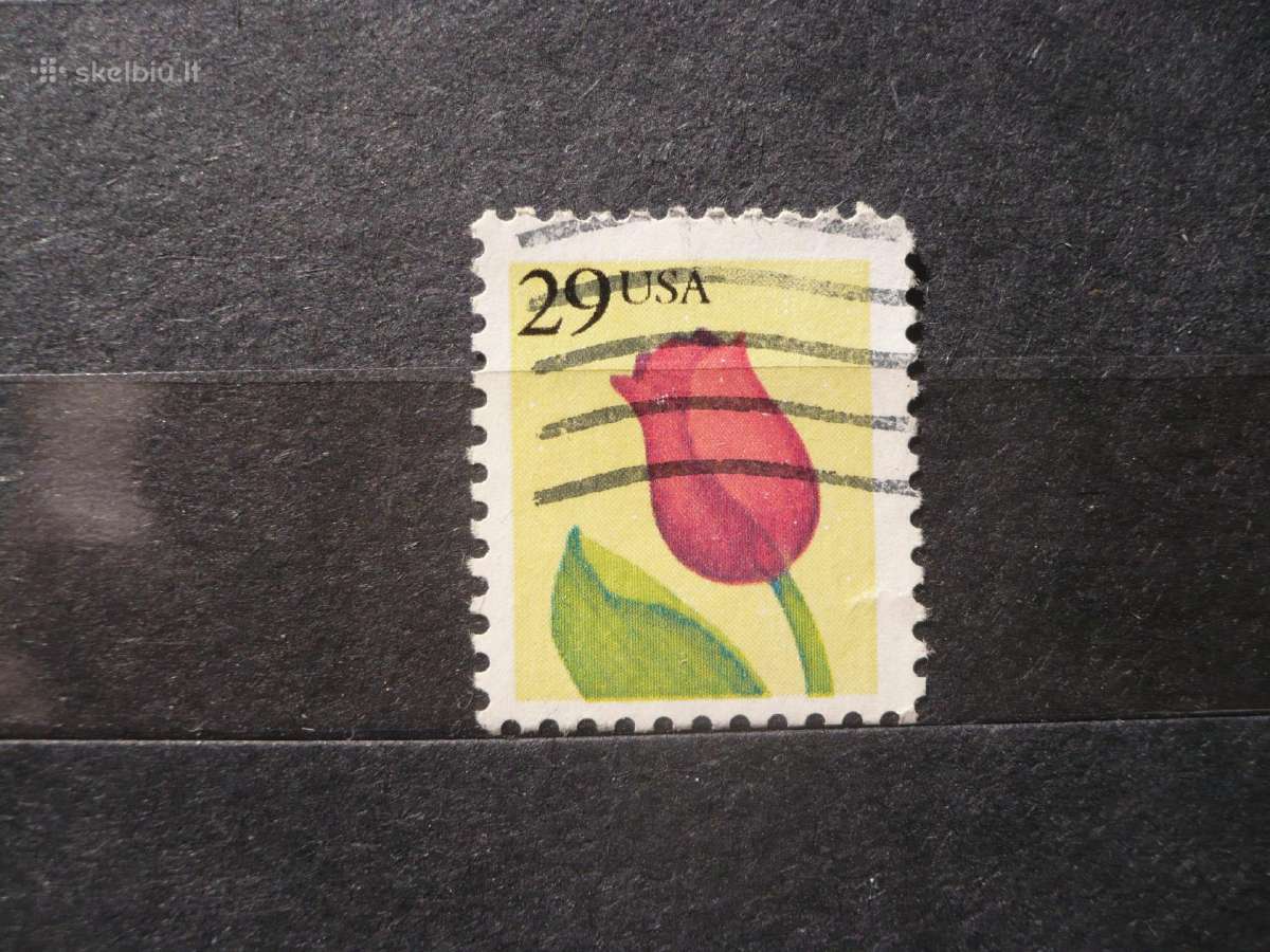 1991 tulpė