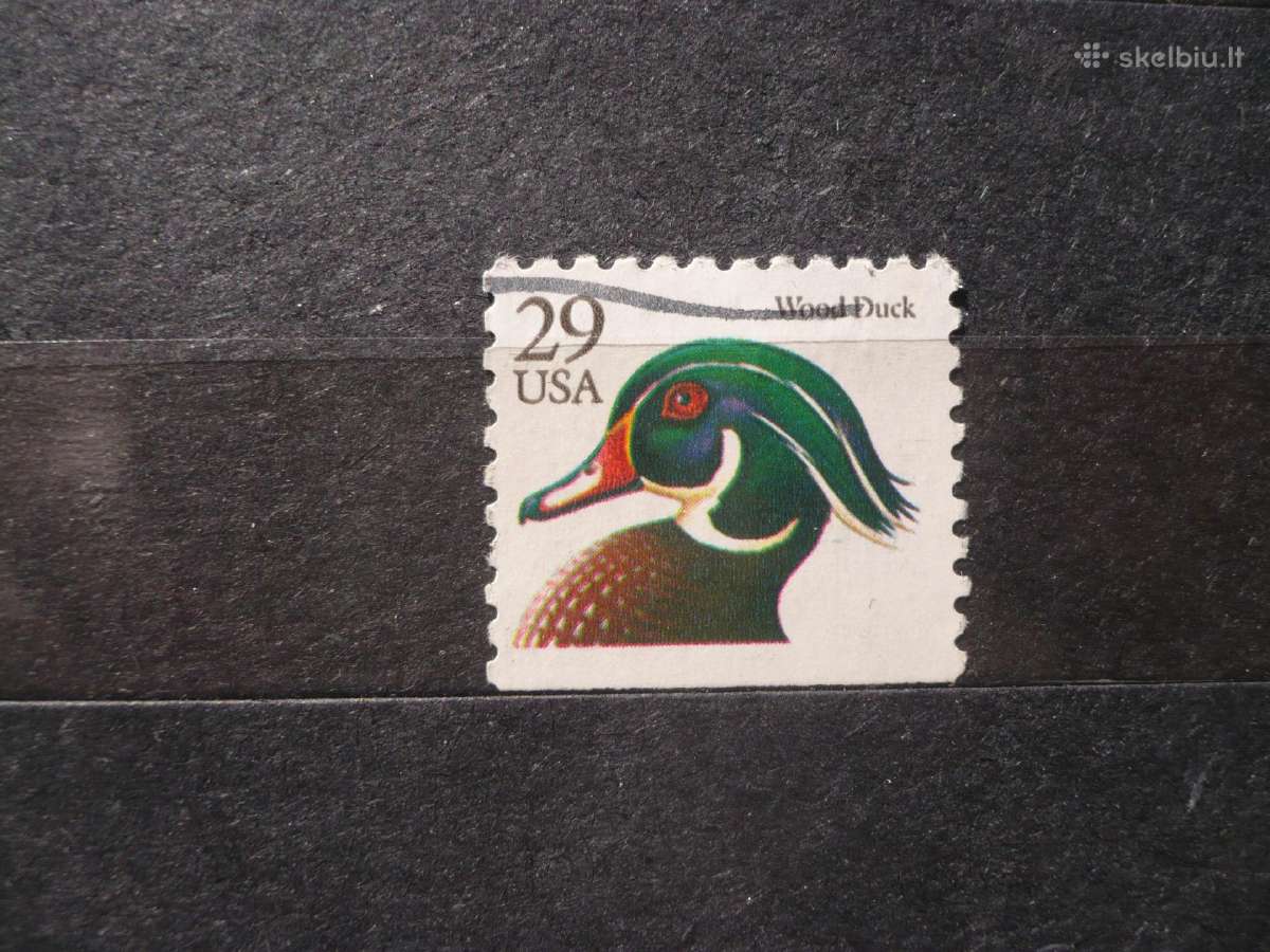 1991 m. Wood Duck brošiūros leidimas
