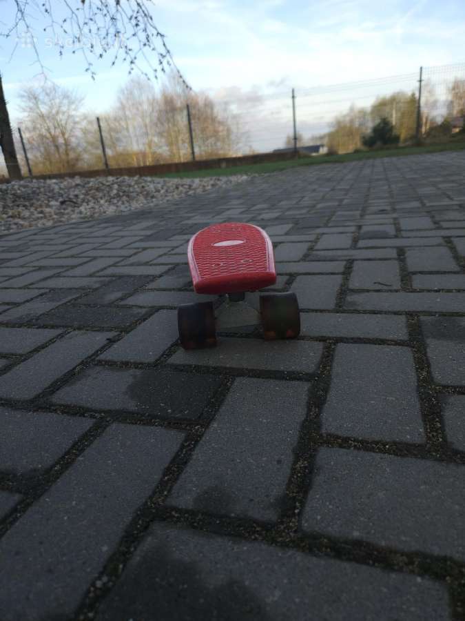 Riedlentė - nuotraukos Nr. 3