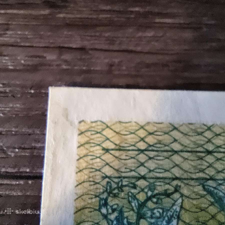 0.5 talono 1991 - Valstybinis + klaida serijos Xf - nuotraukos Nr. 3