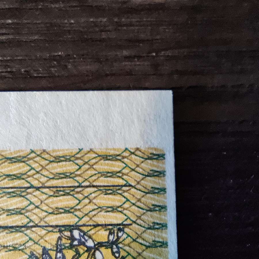 0.2 talono 1991 serija Aa - reta - aunc - nuotraukos Nr. 4