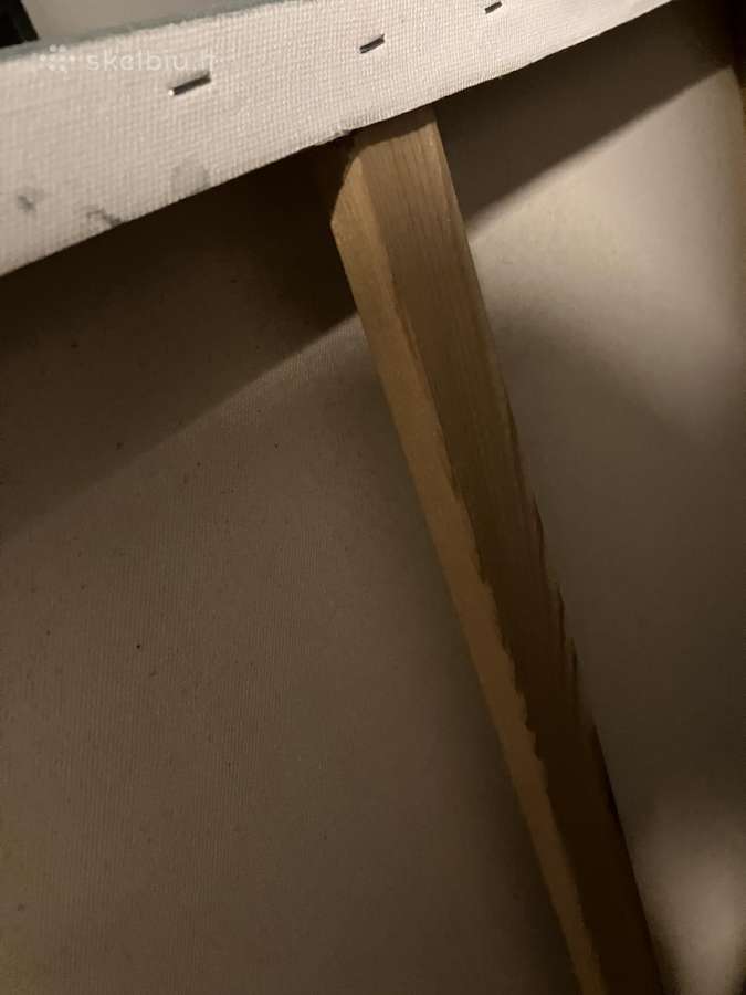 Abstraktus paveikslas 80x120 - nuotraukos Nr. 5