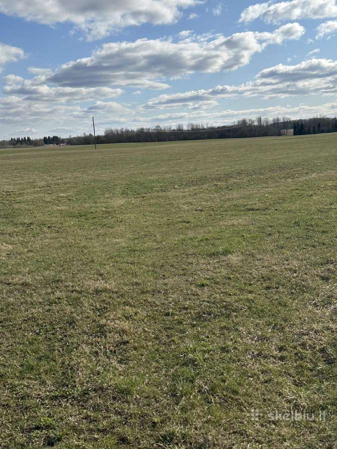 10,54 ha sklypas be infrastruktūros mokesčio - nuotraukos Nr. 4