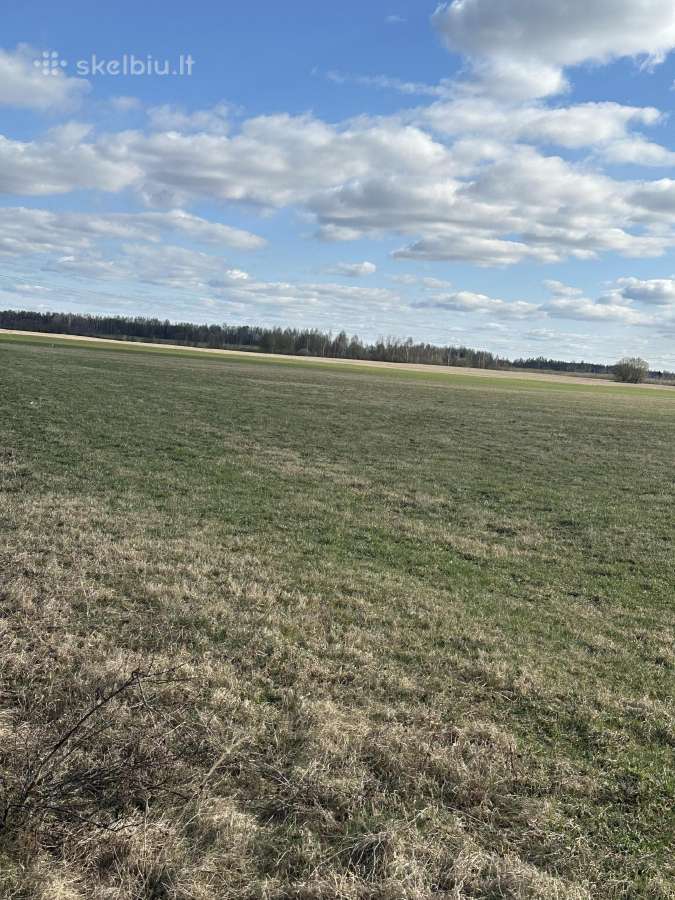 10,54 ha sklypas be infrastruktūros mokesčio - nuotraukos Nr. 5