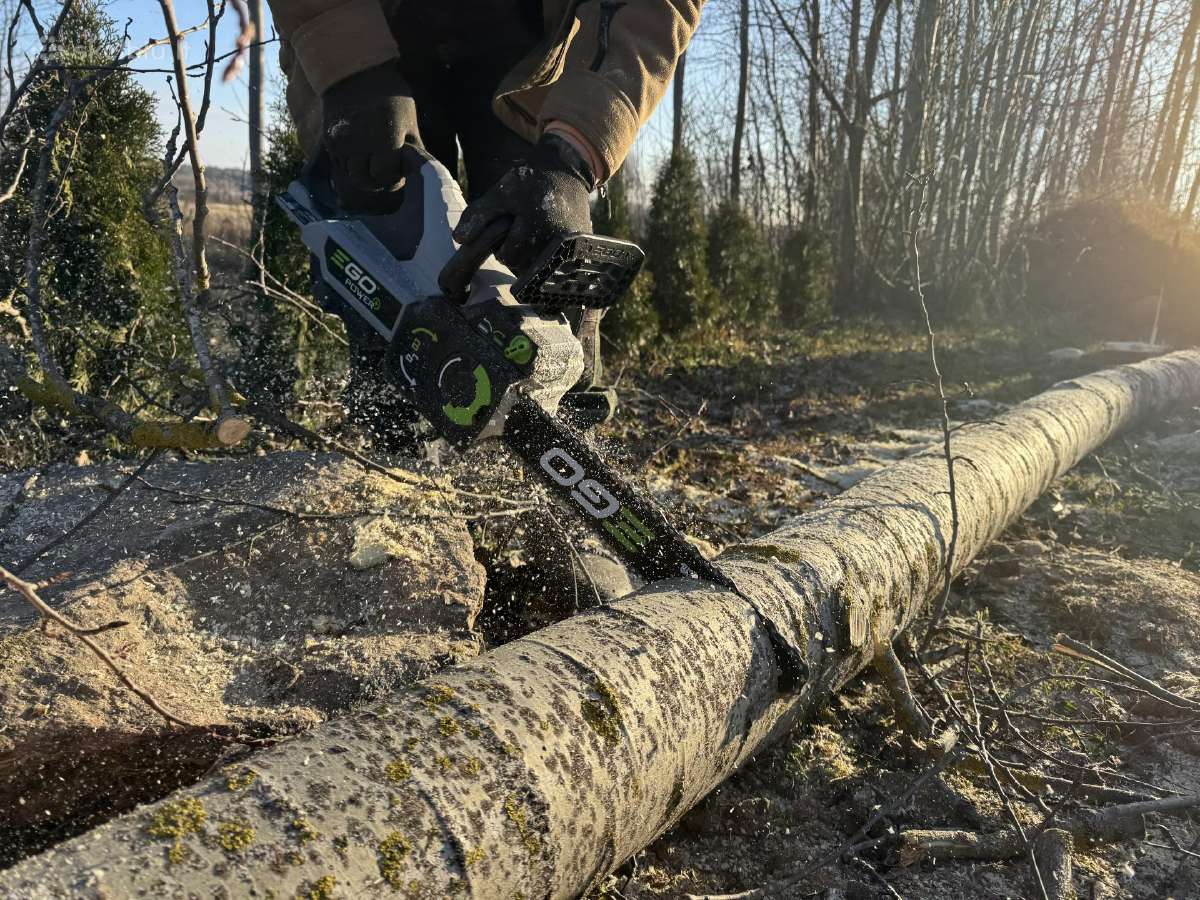 Žolės pjovimas ir aplinkos priežiūra Vilniuje - nuotraukos Nr. 5