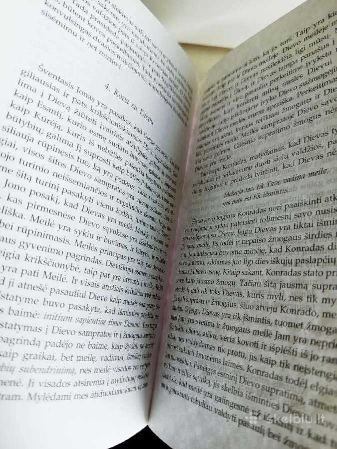 A.maceina Raštai XIII - nuotraukos Nr. 5