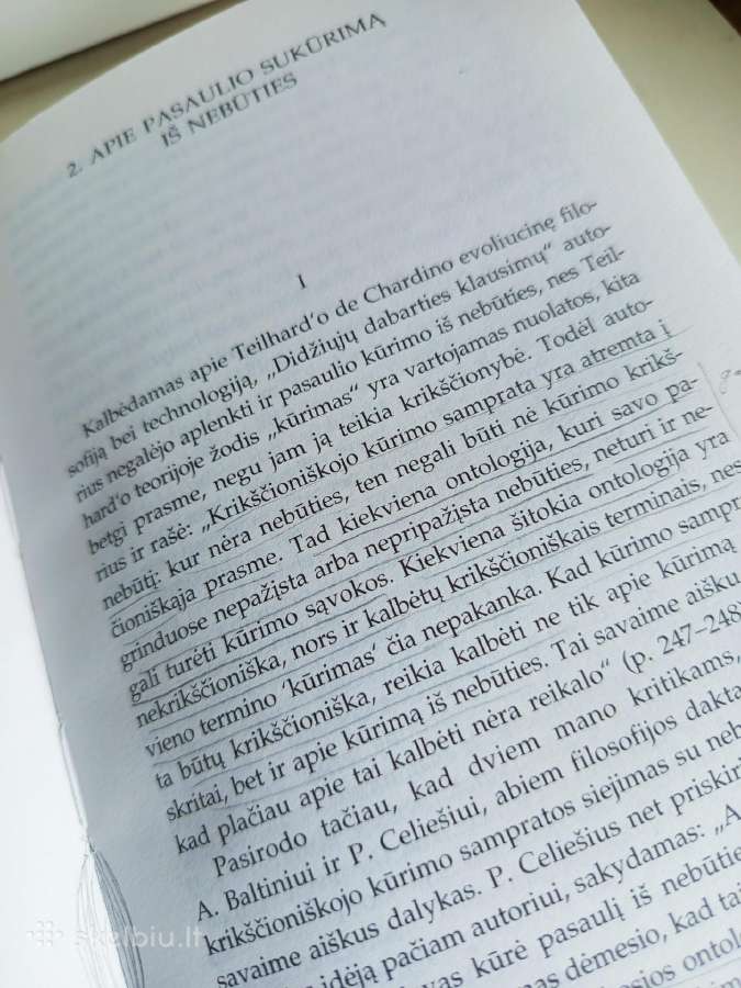 A.maceina Raštai XIII - nuotraukos Nr. 9