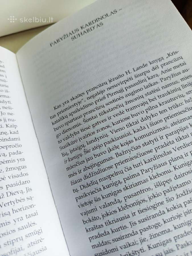 A.maceina Raštai XIII - nuotraukos Nr. 10
