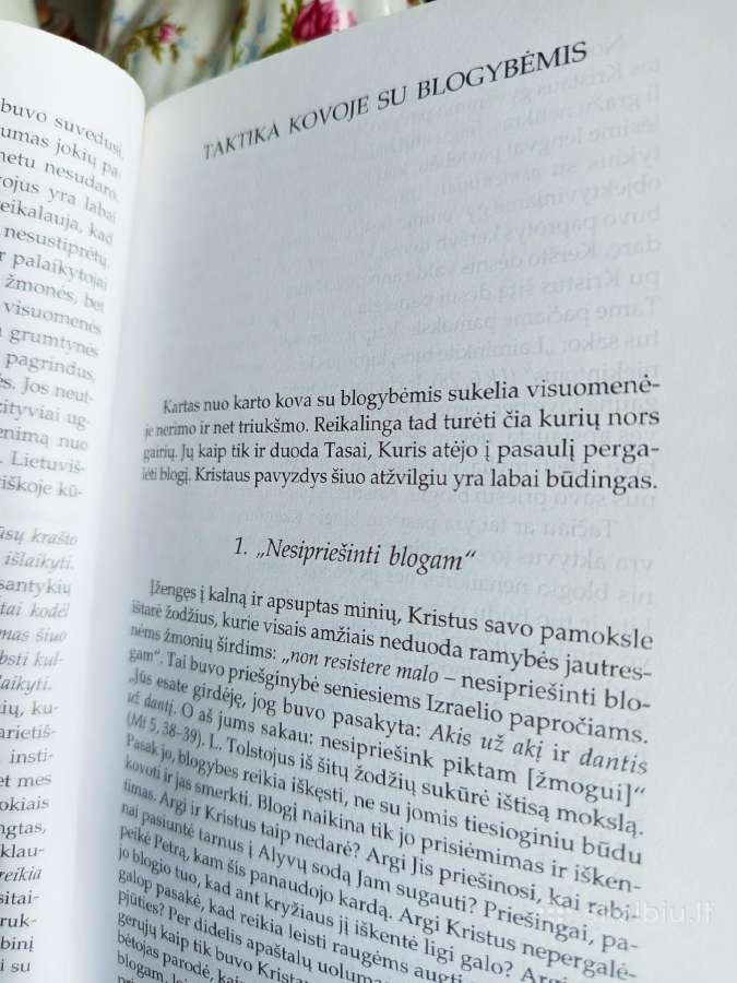 A.maceina Raštai XIII - nuotraukos Nr. 15