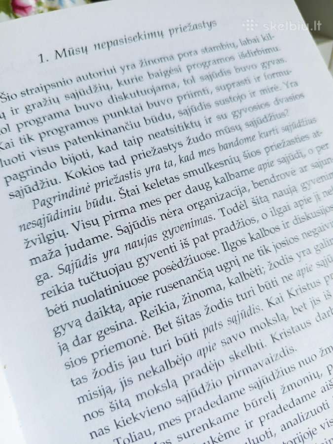 A.maceina Raštai XIII - nuotraukos Nr. 16