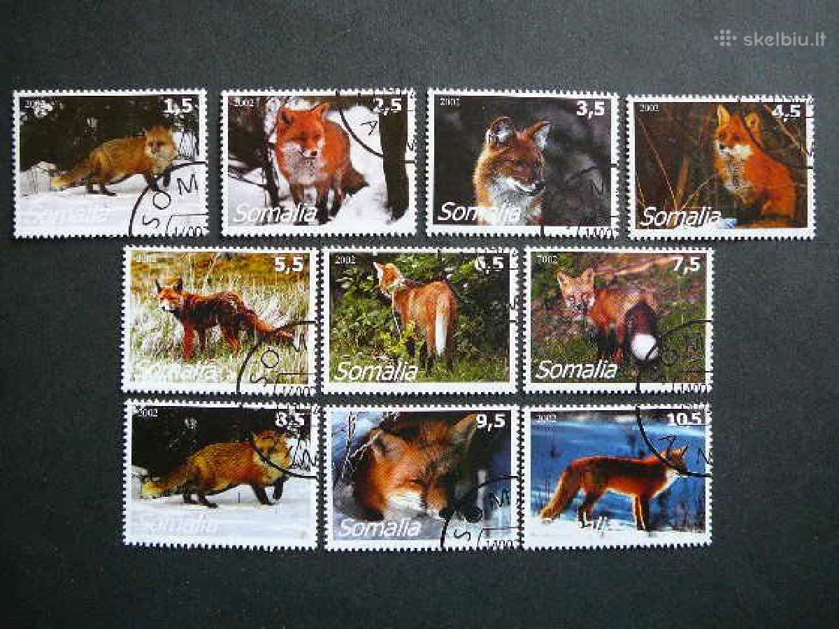 Lapes Somalis 2002 antsp. smd87