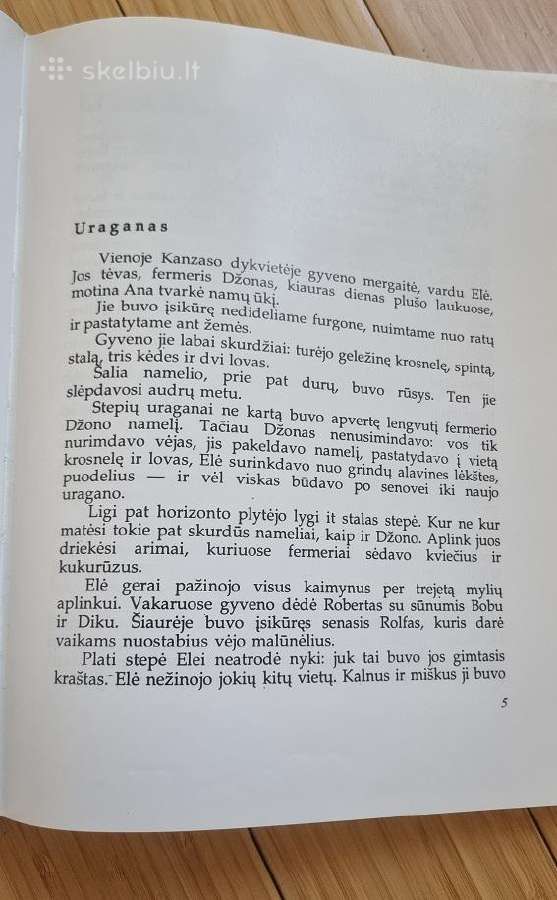 Knyga "Smaragdo miesto burtininkas" - nuotraukos Nr. 2