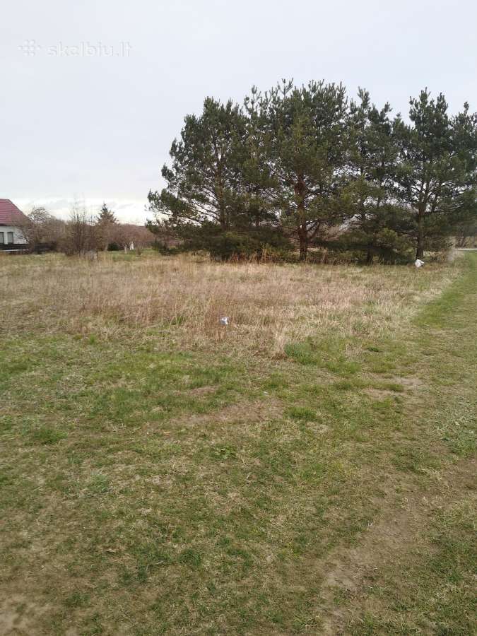 Parduodu 5 sodus Macikų km. - nuotraukos Nr. 3