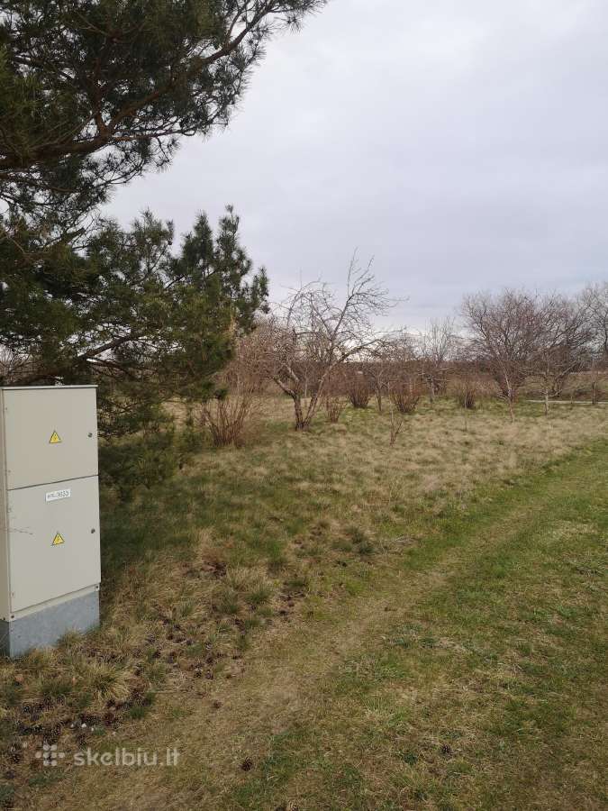 Parduodu 5 sodus Macikų km.