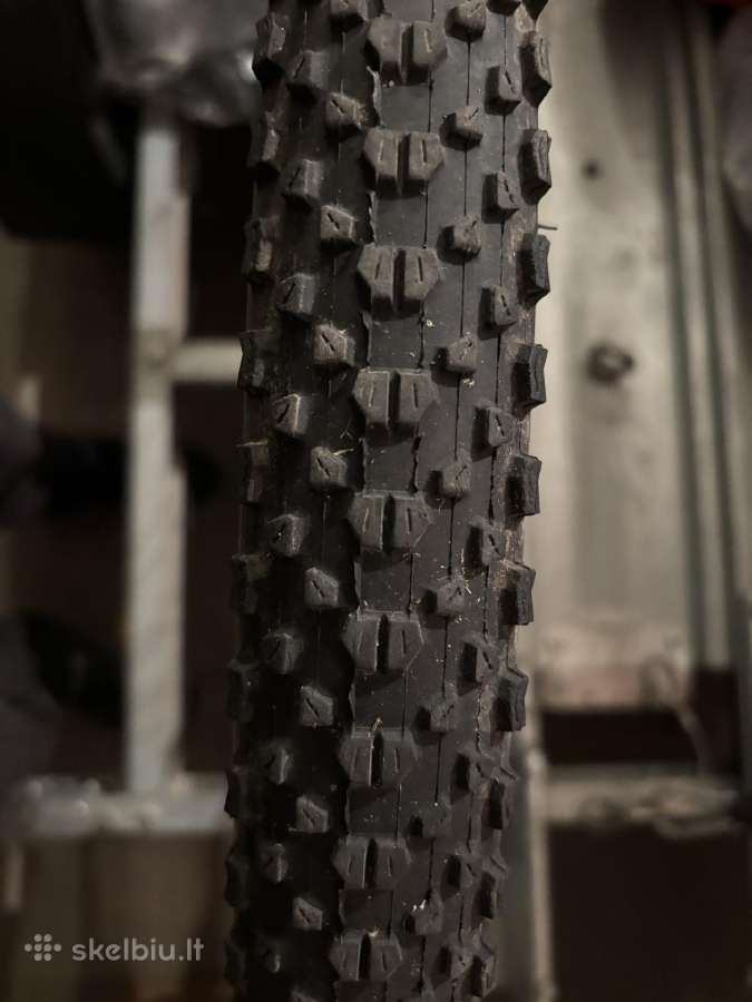 MTB padangos Maxxis Ikon 29, Wahoo daviklis, sedyn - nuotraukos Nr. 2