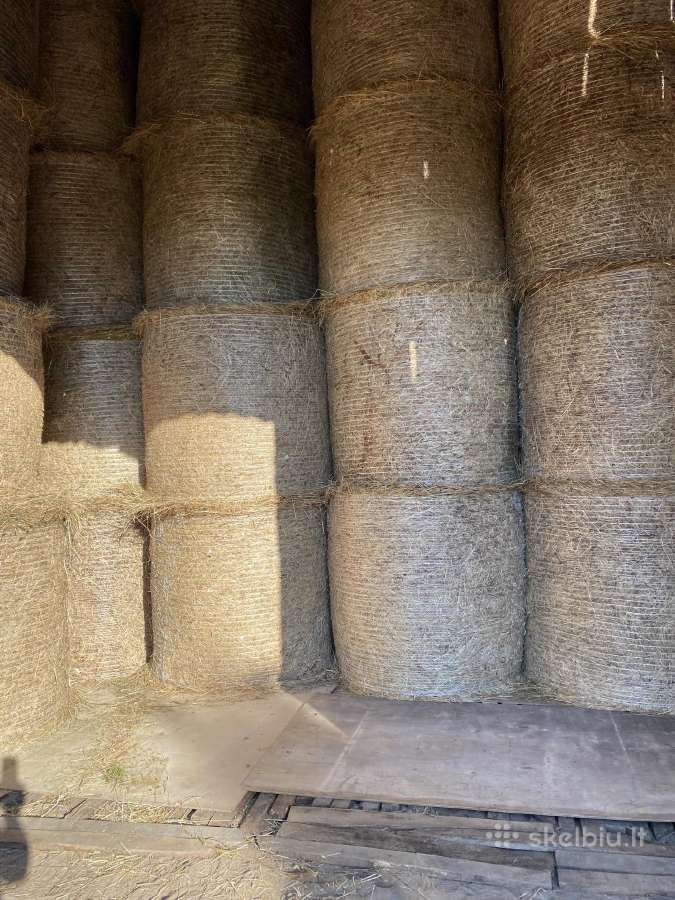 Šienas