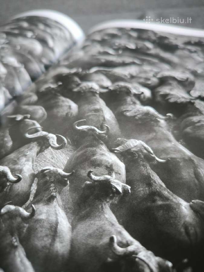 Knyga "Genesis" Sebastiao Salgado - nuotraukos Nr. 5