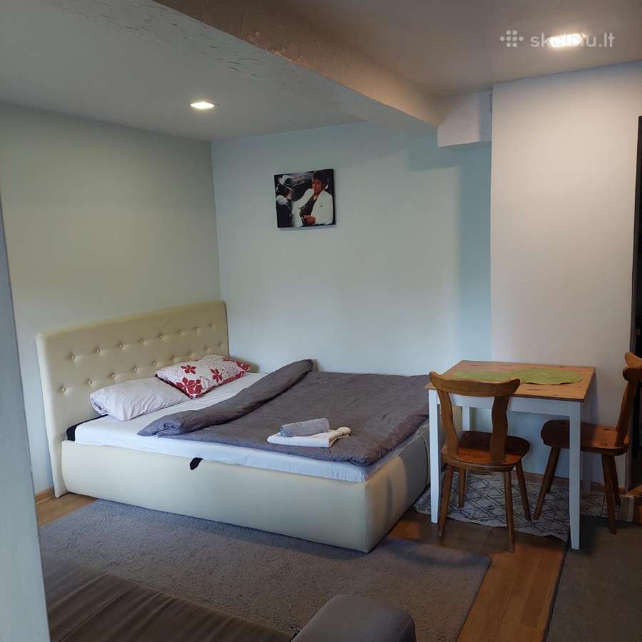 Netoli Centro laisva nuo18 d.dviem savaitėm - nuotraukos Nr. 12