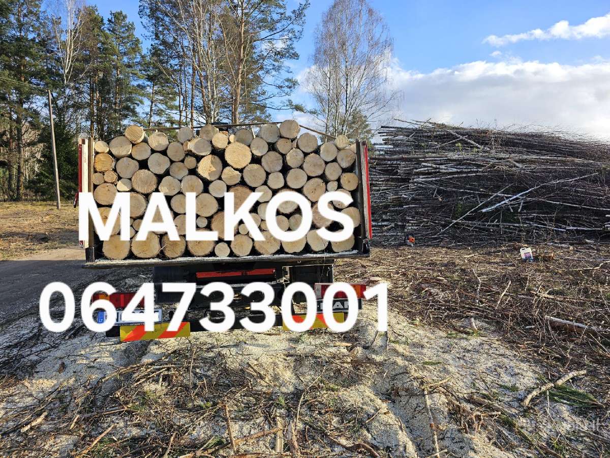 Malkos - nuotraukos Nr. 3