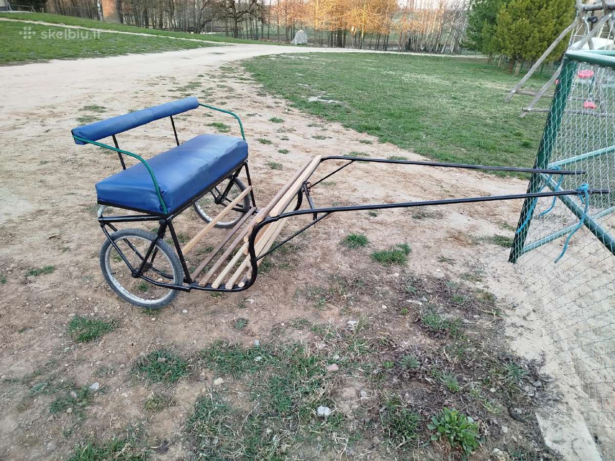 Poniukas parduotas liko vezimaitis .