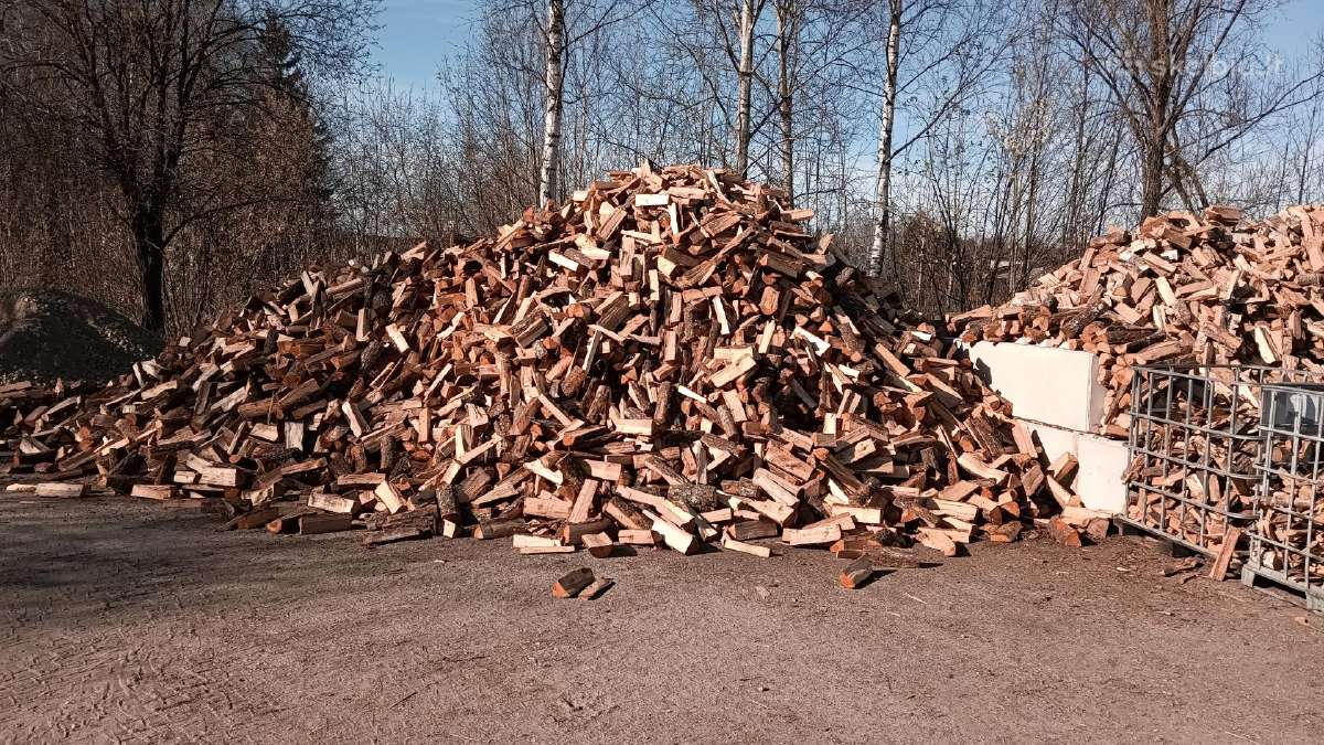 Pigiausios malkos parsivešti patiems - nuotraukos Nr. 15