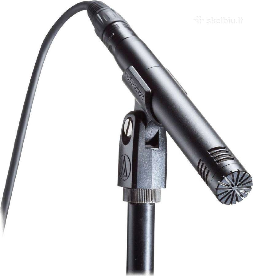Mikrofonas Audio Technica At2031