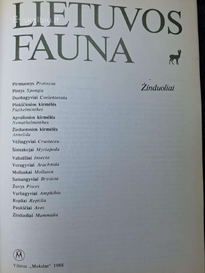Lietuvos fauna. Žinduoliai - nuotraukos Nr. 2