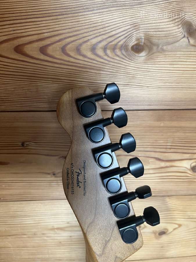 Squier Contemp Tele Rh Mngmm - nuotraukos Nr. 4