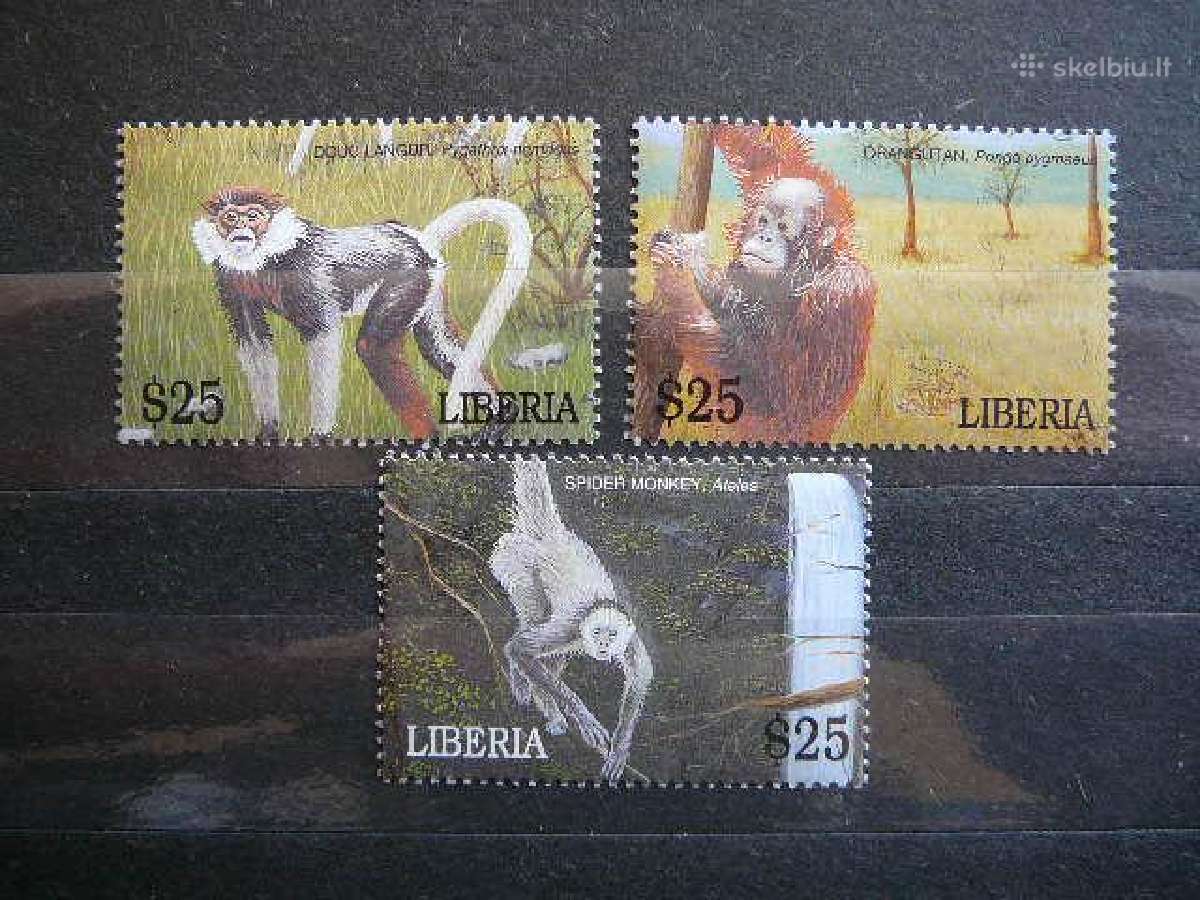 Bezdziones Liberija 2001 svarus lib51