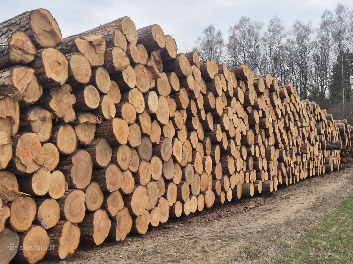 Statybinė mediena