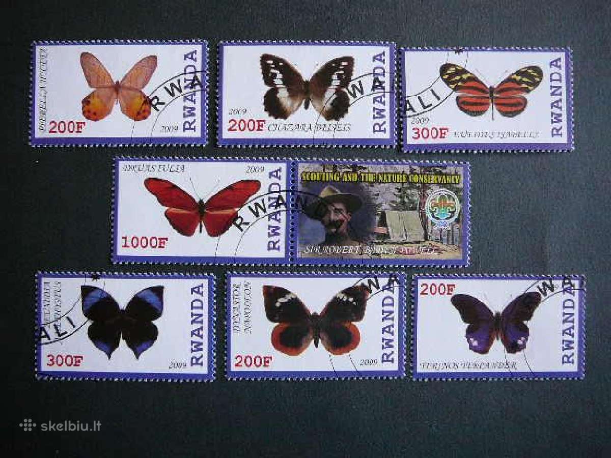 Drugeliai Ruanda 2009 antsp. s585d