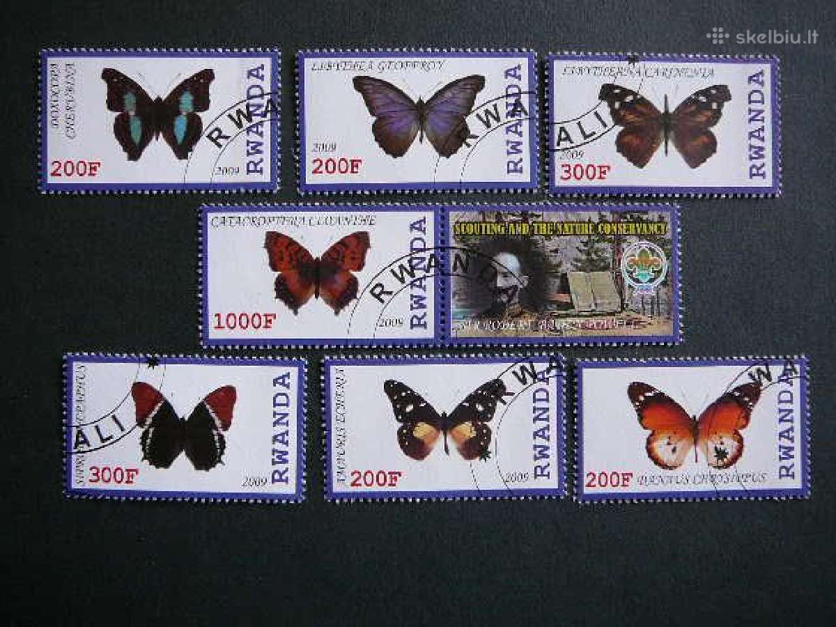 Drugeliai Ruanda 2009 antsp. s586d