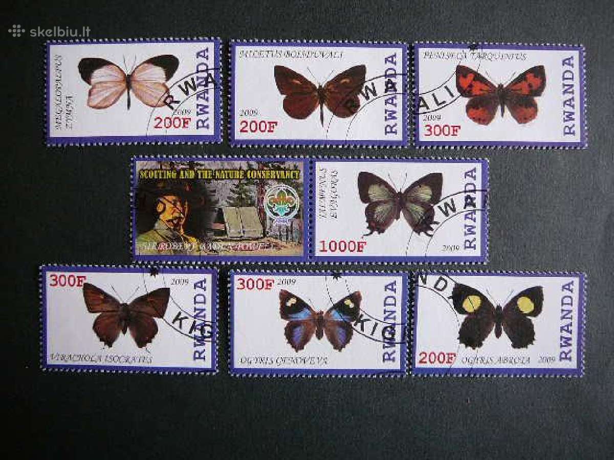 Drugeliai Ruanda 2009 antsp. s587d