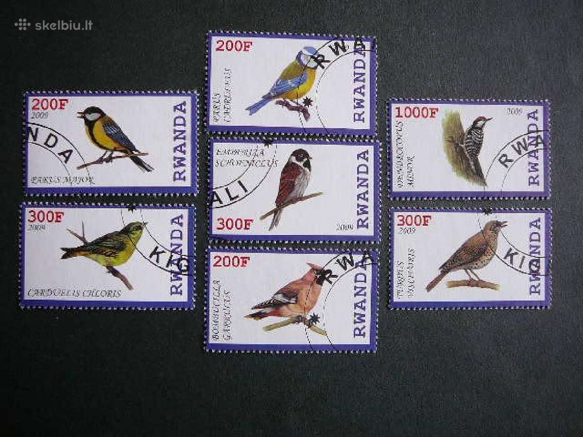 Pauksciai Ruanda 2009 antsp. s587p