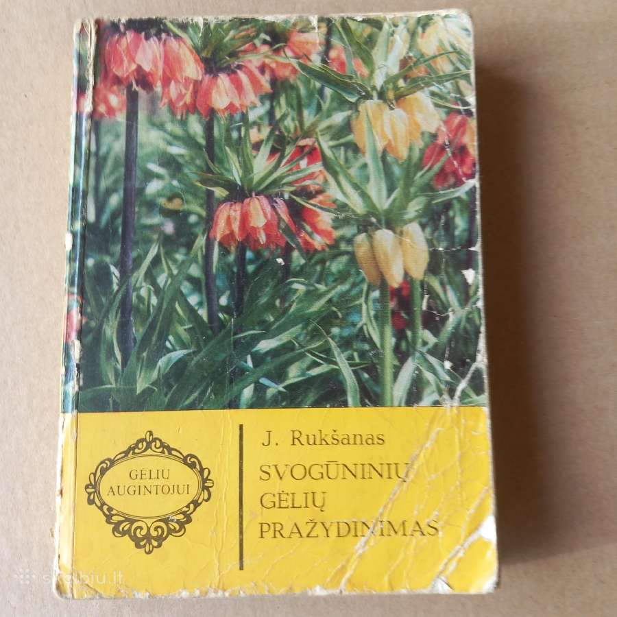 Svogūninių gėlių pražydinimas