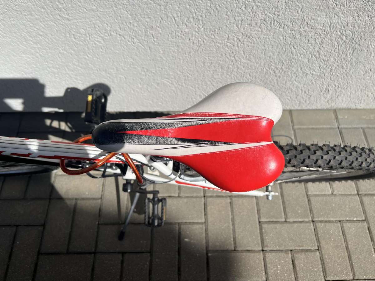 Paauglio dviratis Bottecchia - nuotraukos Nr. 3