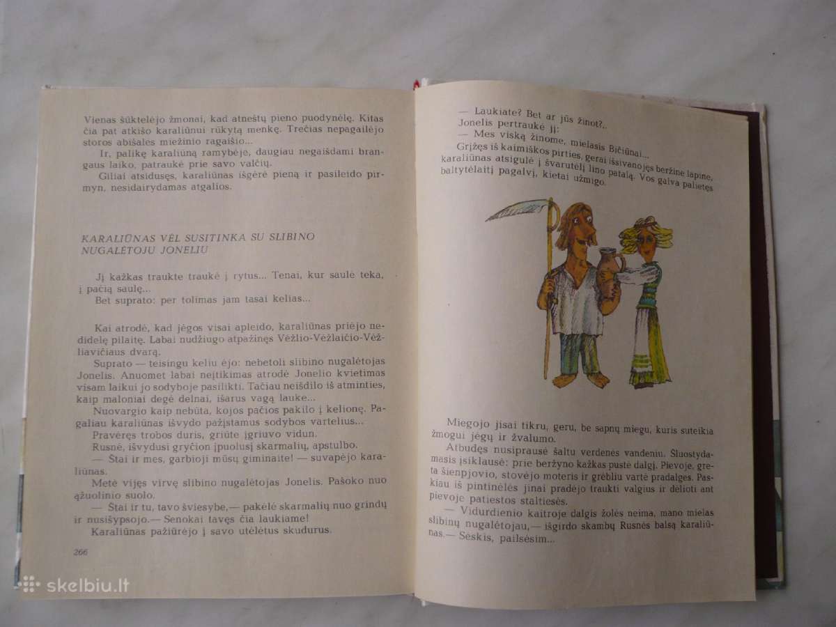 V. Misevičius - Karaliūnas Gargaliūnas - nuotraukos Nr. 3