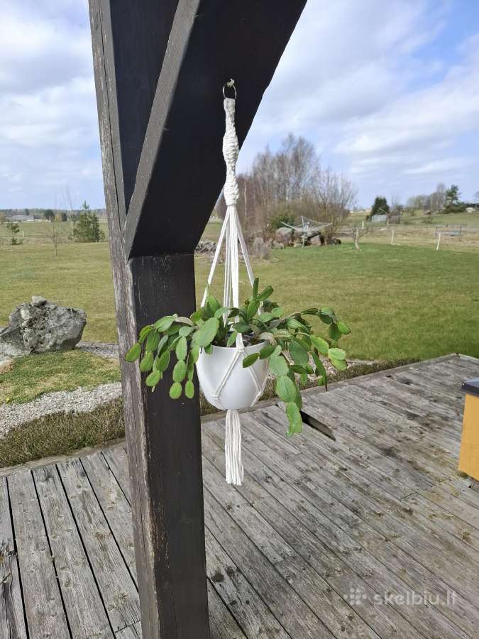 Macrame gėlių laikikliai - nuotraukos Nr. 2