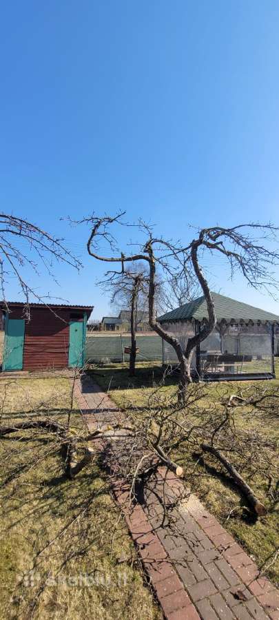 Tujų kirpimas,žeminimas,formavimas.genėjimas. - nuotraukos Nr. 22