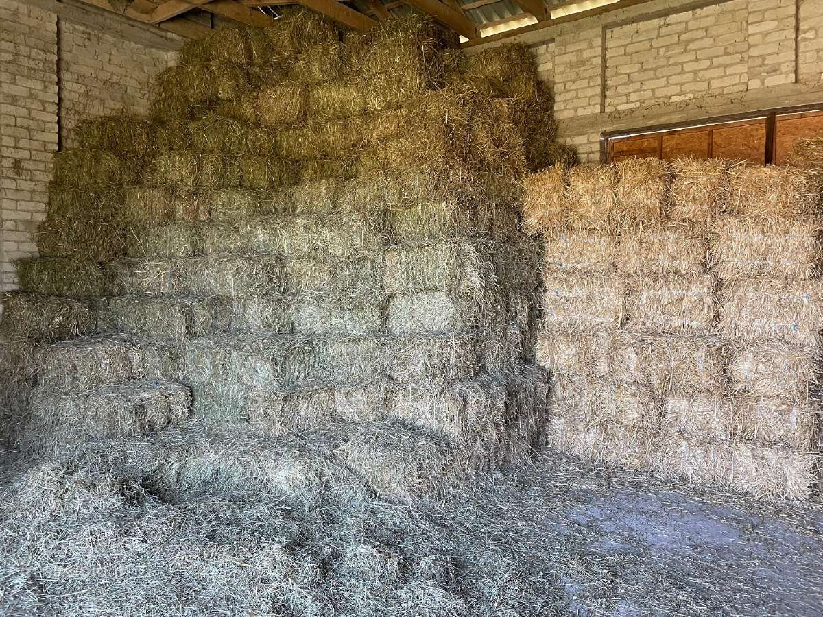 Šienas Kitkos Kitkės Spūdulai Ryšuliai Tiukai - nuotraukos Nr. 2
