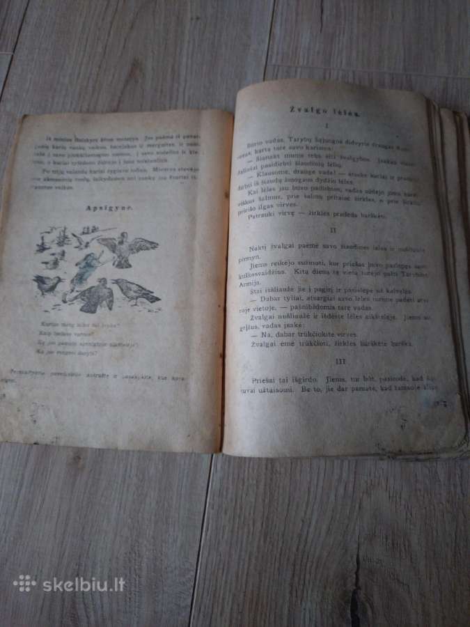 Gintasis zodis - nuotraukos Nr. 2